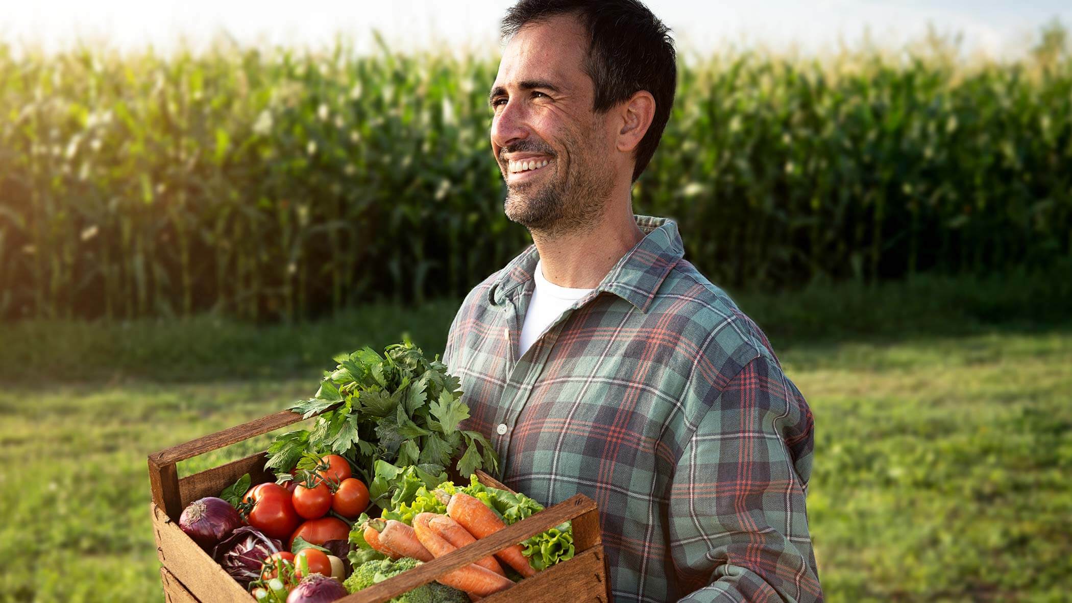 Raccolto in Alto Adige