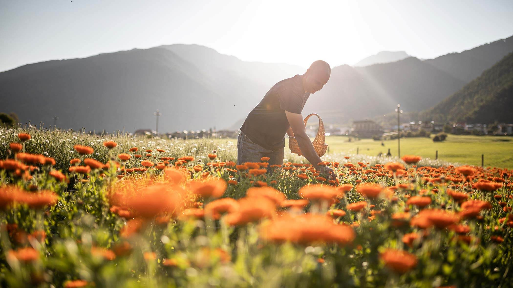 Prato - Agriturismo biologico
