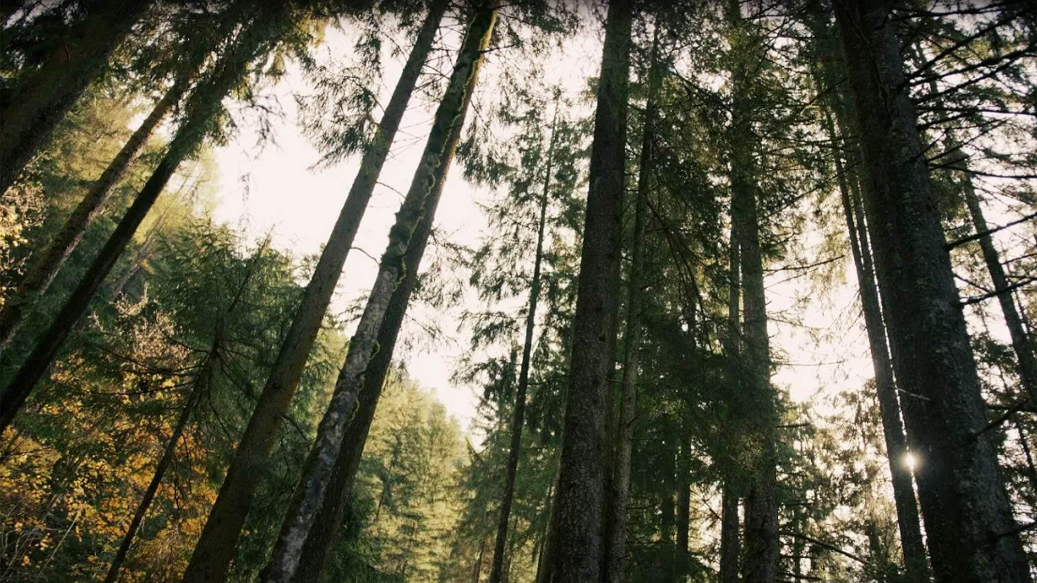 Video - Vacanze ecosostenibili