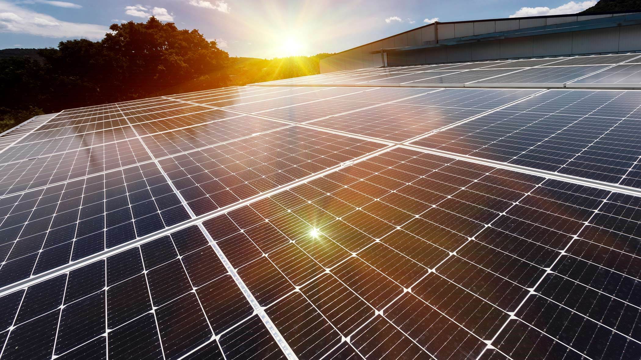 Che cos'è una struttura per vacanze ecosostenibile?